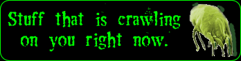 Crawling Stuff